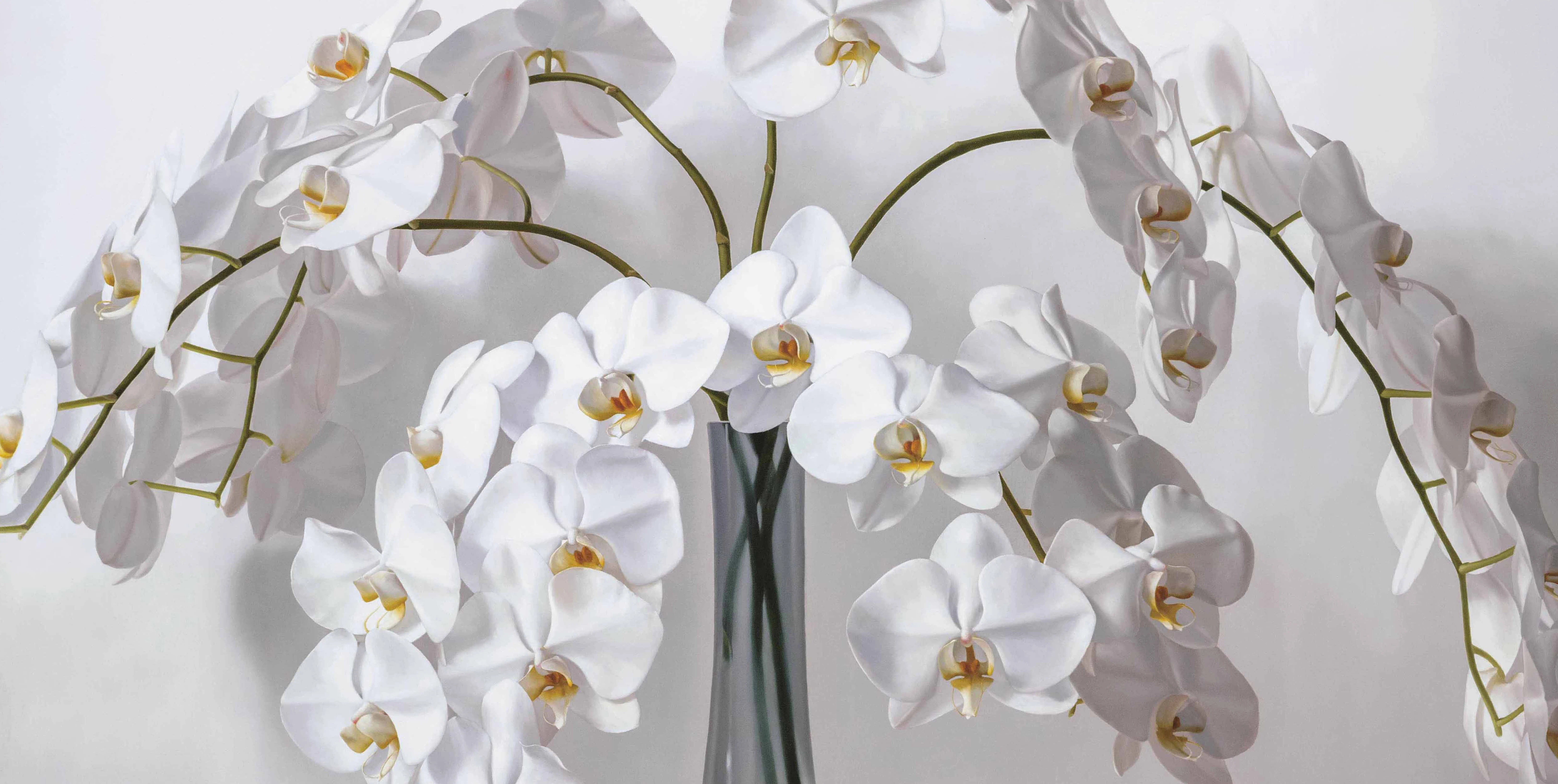 Dream Butterfly,Portion,夢蝶,局部